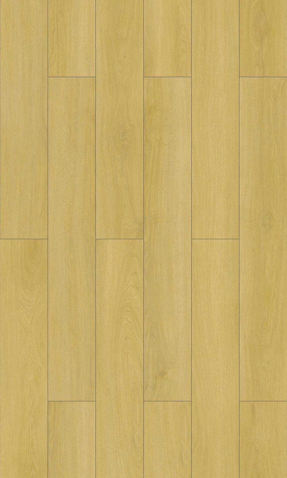 LVT 루즈 레이
