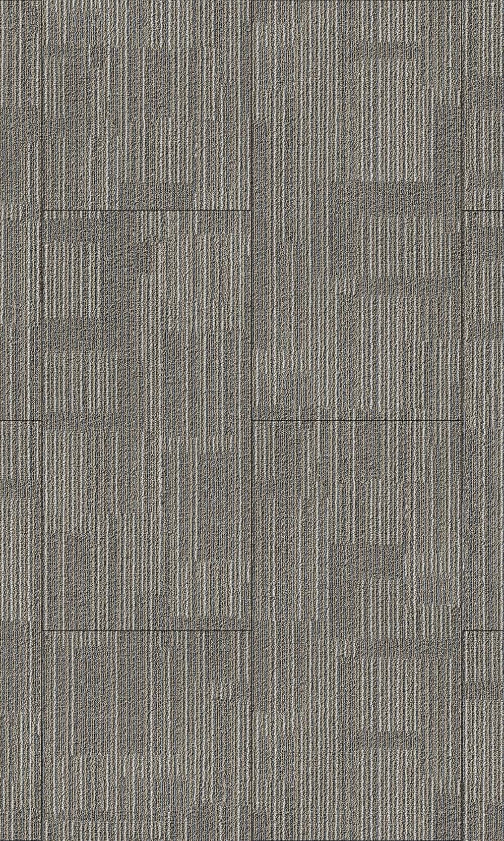 LVT 루즈 레이